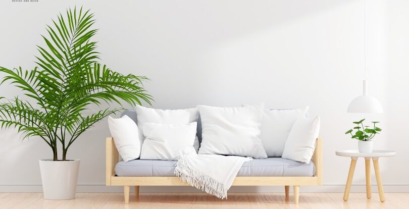 Cây cảnh trang trí phòng khách